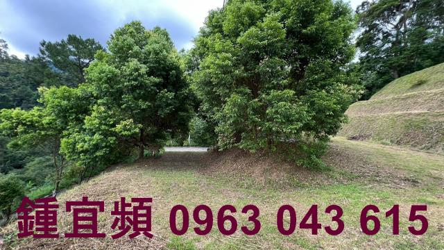 新竹北埔農地_山坡地_休閒地-4