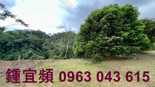 新竹北埔農地_山坡地_休閒地-9