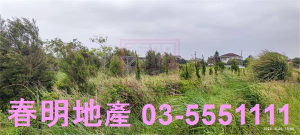 新豐農地-8
