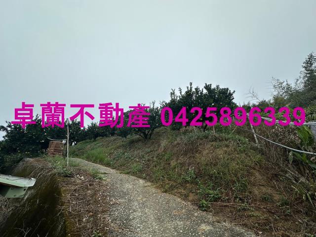 卓蘭農地_山坡地-10