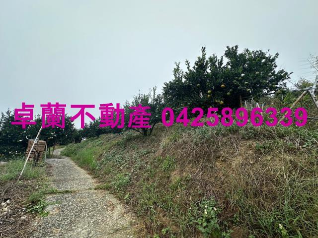 卓蘭農地_山坡地-11