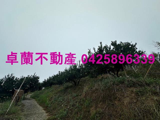 卓蘭農地_山坡地-12