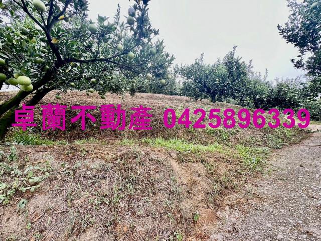 卓蘭農地_山坡地-13