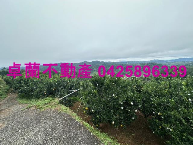 卓蘭農地_山坡地-3