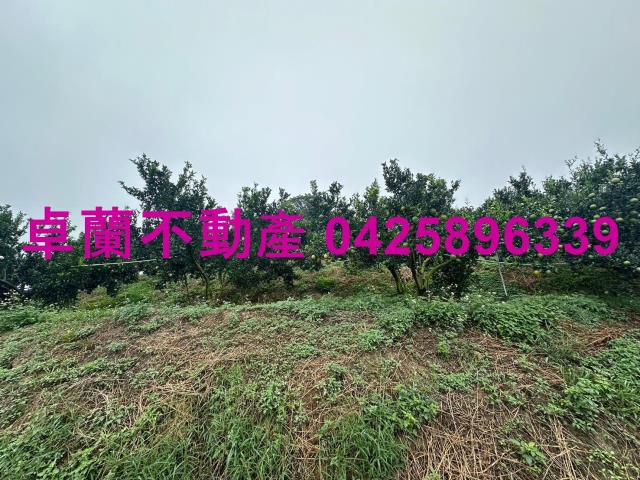 卓蘭農地_山坡地-4