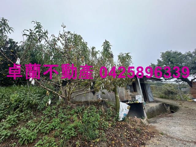 卓蘭農地_山坡地-8