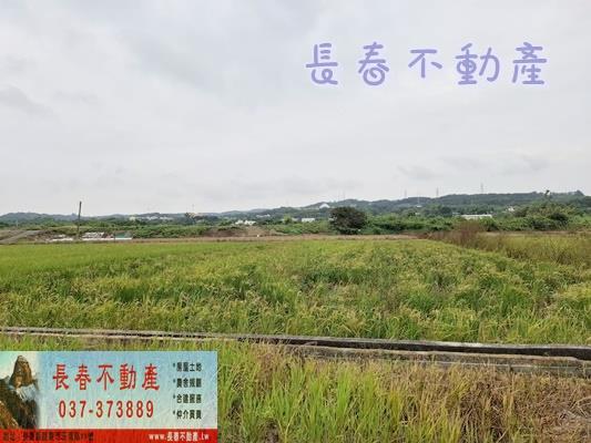 西湖農地-1