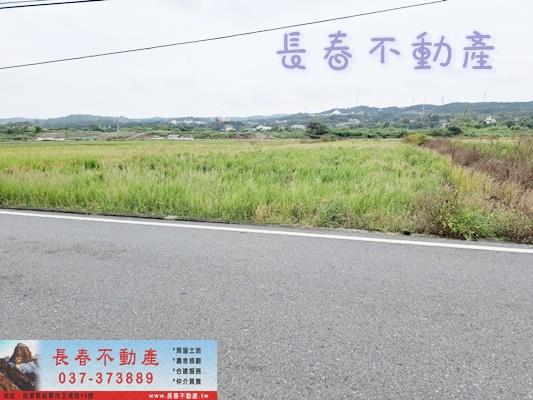 西湖農地-4