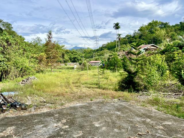 南投農地_休閒地-4