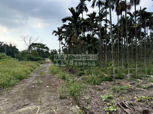 中埔農地_建地-10