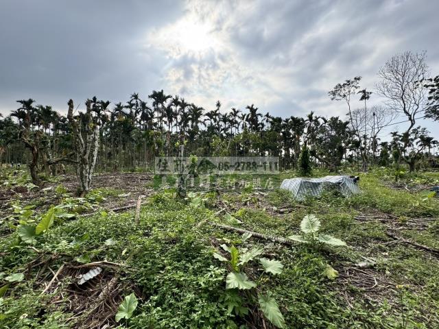中埔農地_建地-2