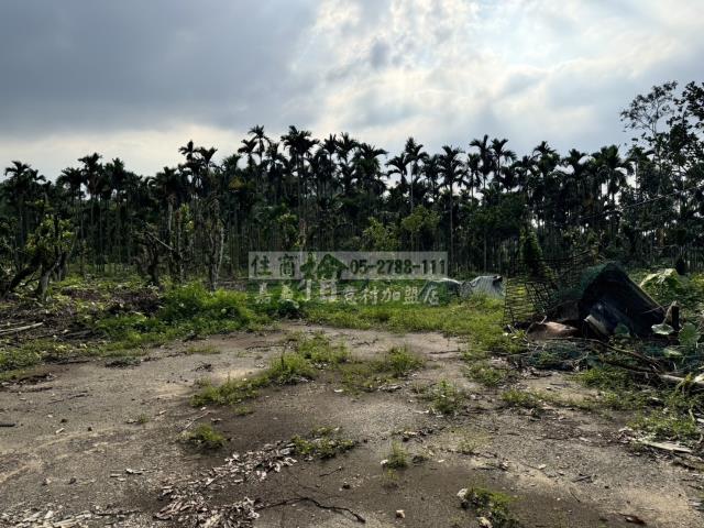 中埔農地_建地-3