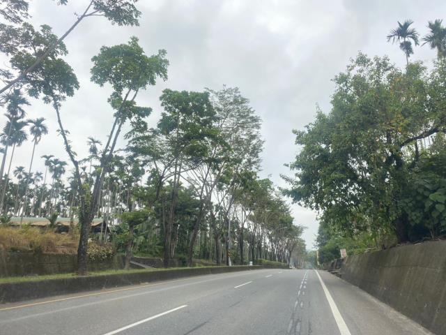 南投集集農地_山坡地-6