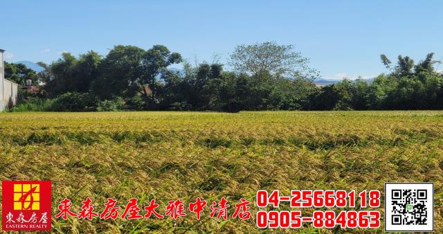 台中神岡農地-4