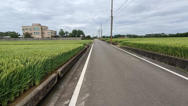 楊梅農地-7