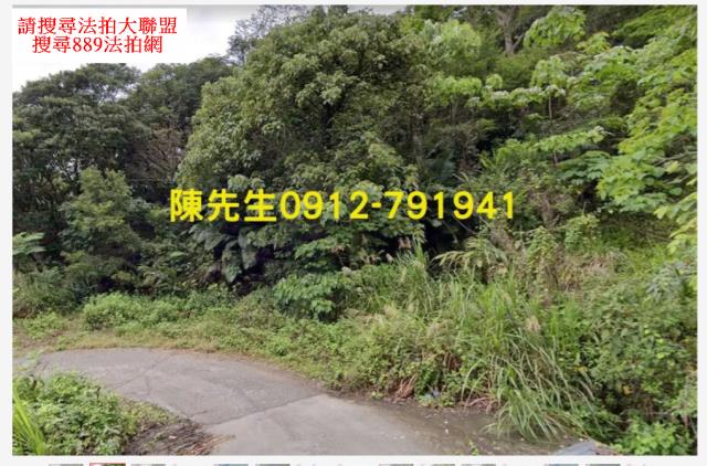 台東延平法拍山坡地-10