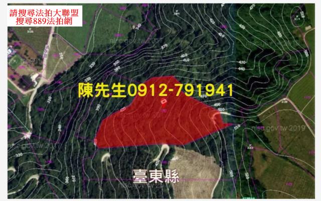 台東延平法拍山坡地-14