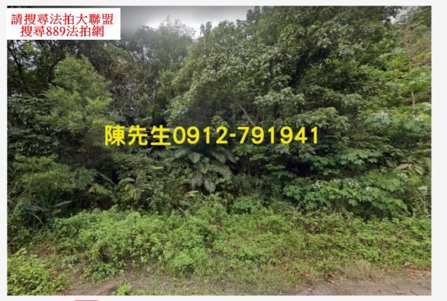 台東延平法拍山坡地-3