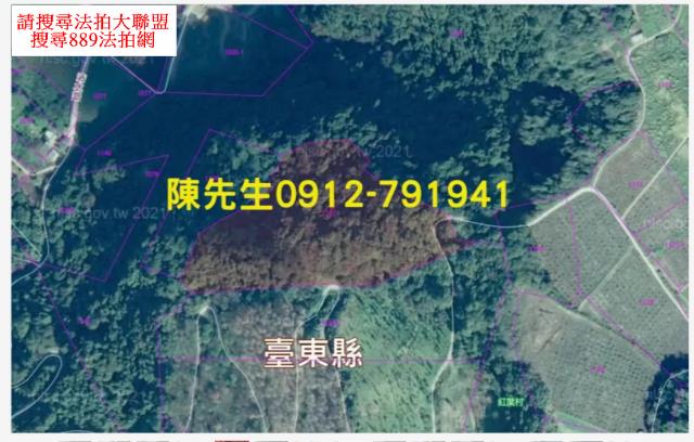 台東延平法拍山坡地-5