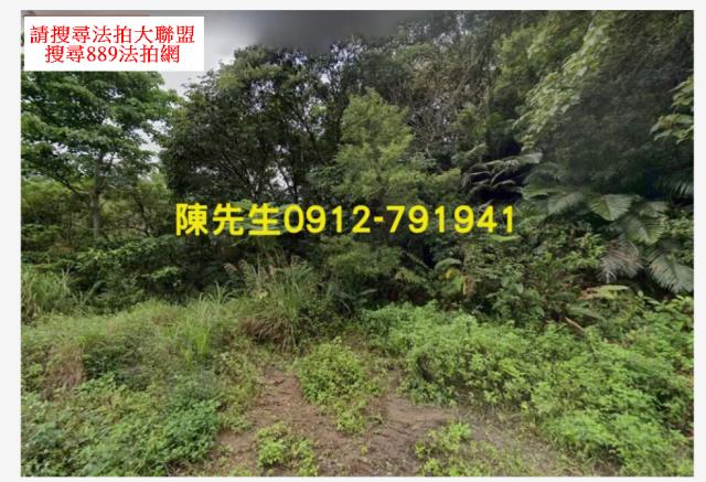 台東延平法拍山坡地-9