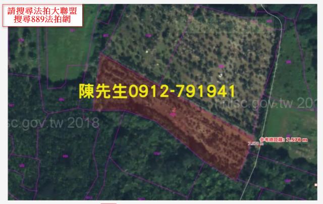 花蓮壽豐農地_山坡地法拍-13