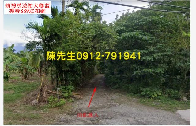 花蓮壽豐農地_山坡地法拍-3