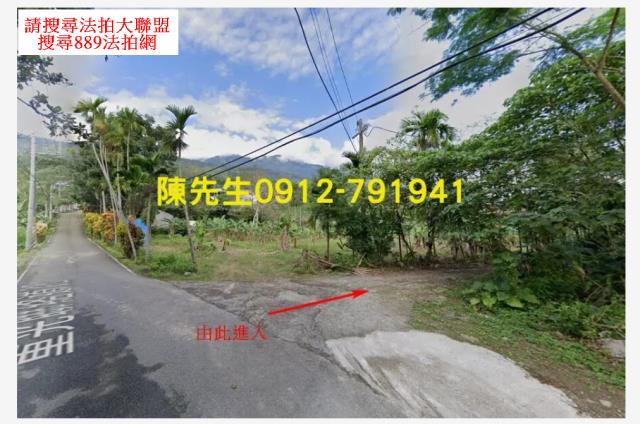 花蓮壽豐農地_山坡地法拍-9