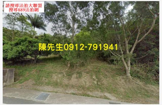 花蓮富里山坡地拍賣-9