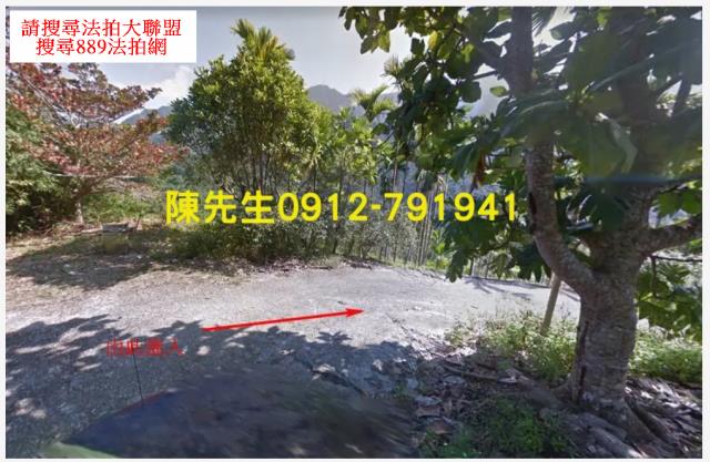 玉里農地法拍-10