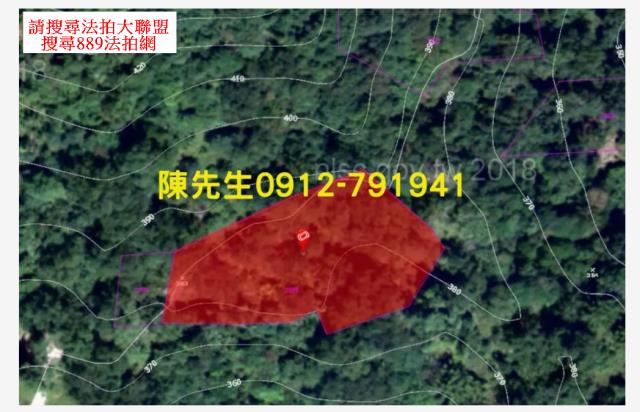 玉里農地法拍-13