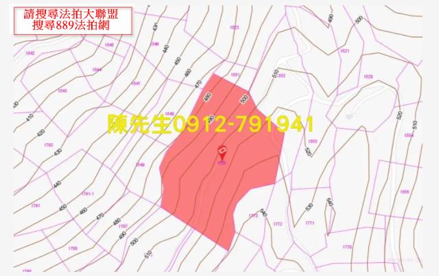 花蓮萬榮法拍農地-13