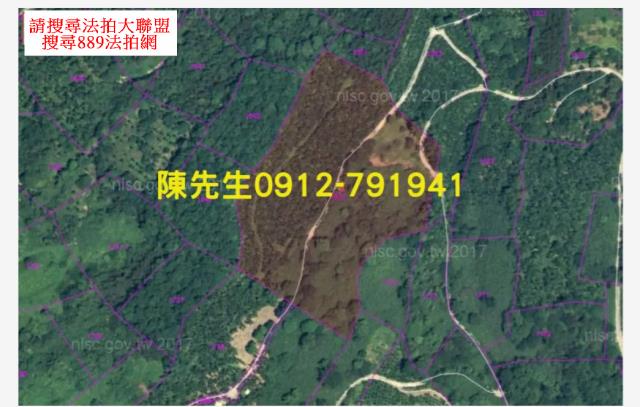 花蓮萬榮法拍農地-4