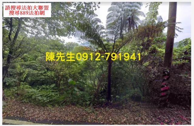 石門農地_山坡地法拍-2