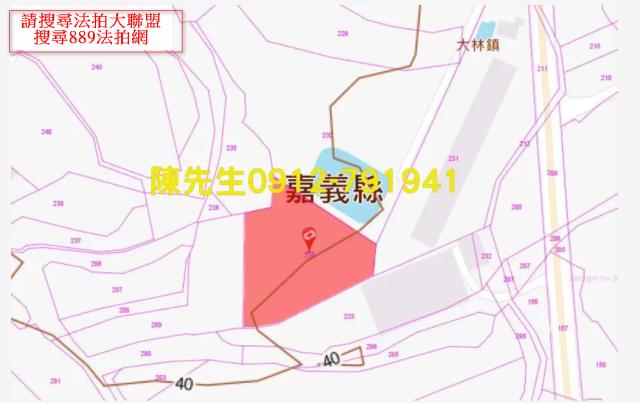 嘉義法拍農地-5