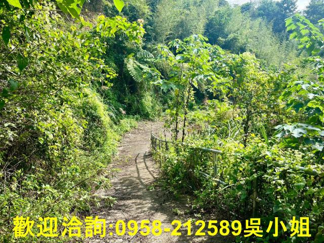 北埔山坡地_休閒地_林地-3