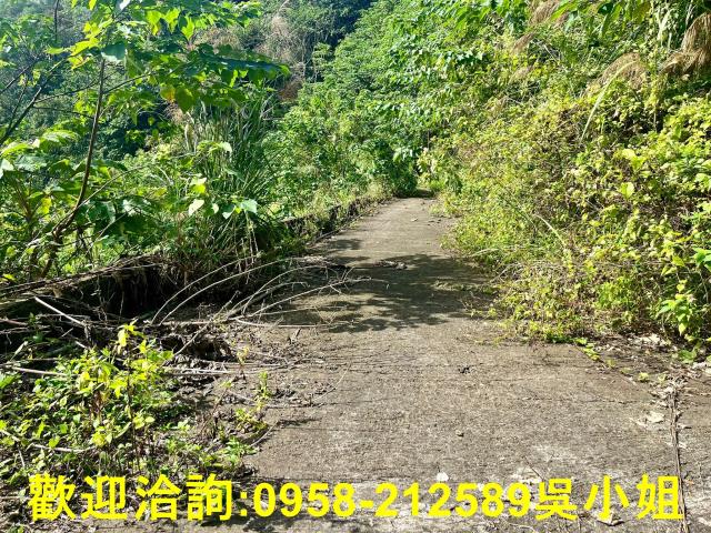 北埔山坡地_休閒地_林地-6