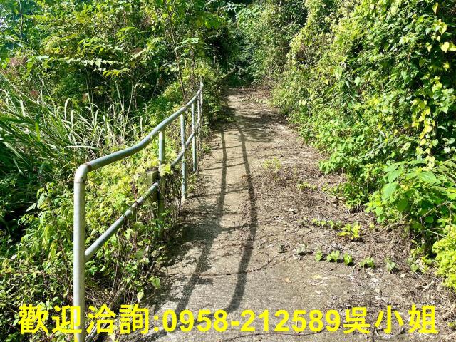 北埔山坡地_休閒地_林地-7