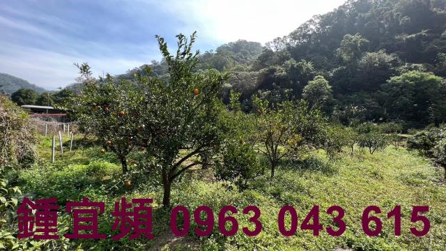 芎林農地_山坡地_休閒地-12