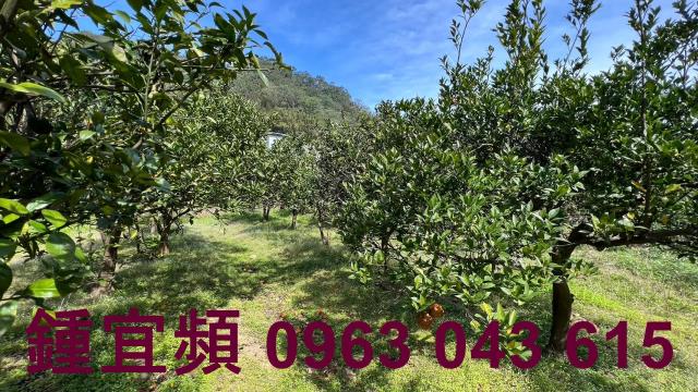 芎林農地_山坡地_休閒地-15