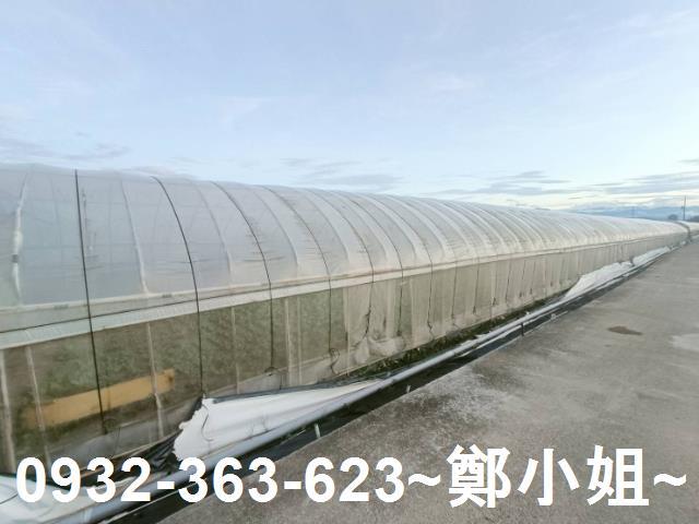 桃園八德農地-3