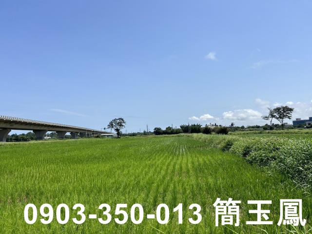 桃園大園交通用地-1