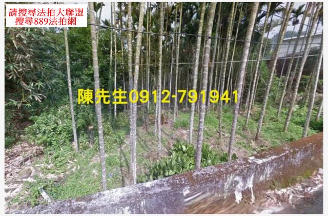 南投鹿谷法拍農地_山坡地-10