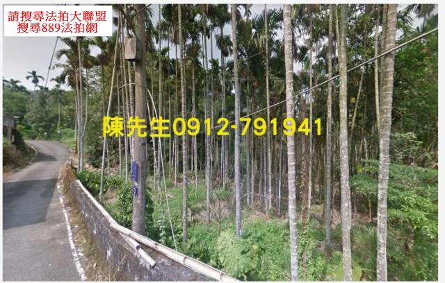 南投鹿谷法拍農地_山坡地-12