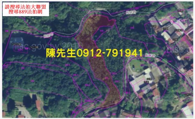 南投鹿谷法拍農地_山坡地-14