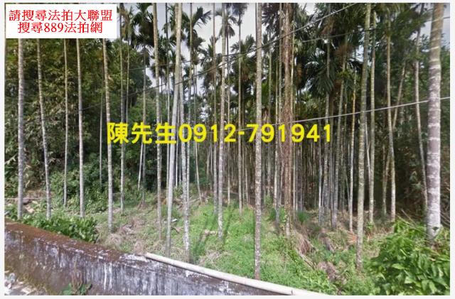南投鹿谷法拍農地_山坡地-2