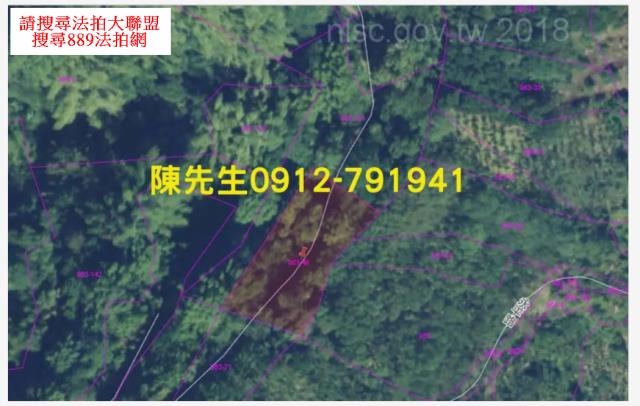 南投中寮農地_山坡地法拍-5