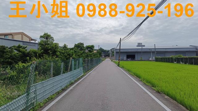 蘆竹農地-8