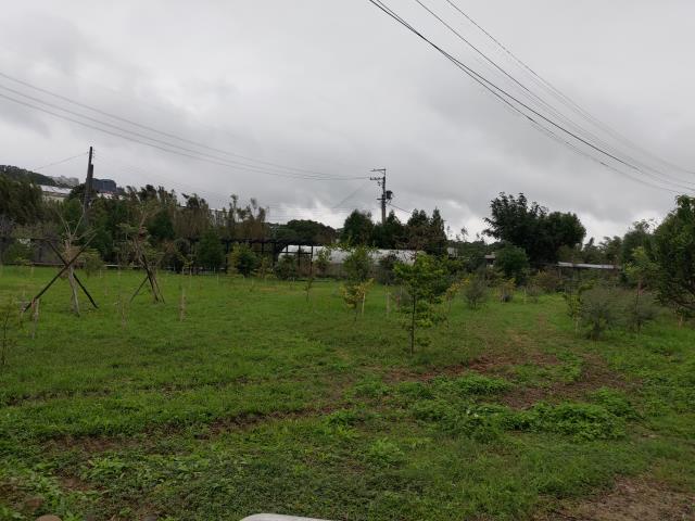 龍潭建地-4
