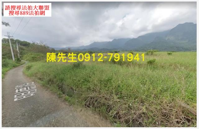 長濱法拍農地-2