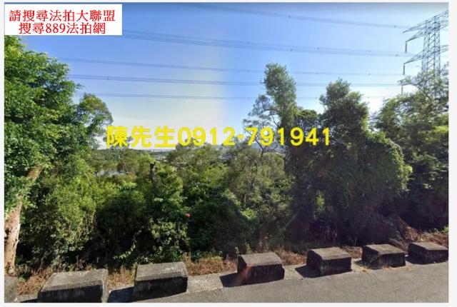 外埔農地_山坡地法拍-11